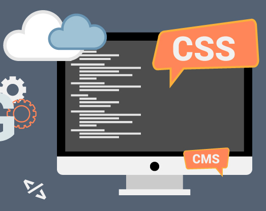 Custom coding and programming